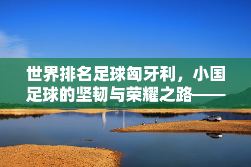世界排名足球匈牙利,小国足球的坚韧与荣耀之路——探寻东欧足球强国的传承与新生