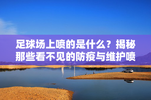 足球场上喷的是什么？揭秘那些看不见的防疫与维护喷雾，足球场上喷的是什么？揭秘防疫与维护喷雾的隐形守护