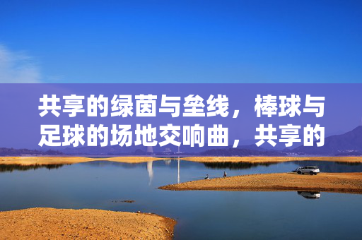 共享的绿茵与垒线，棒球与足球的场地交响曲，共享的绿茵与垒线，棒球与足球的场地交响曲