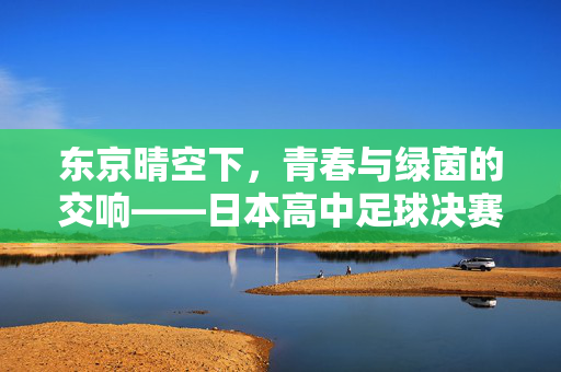 东京晴空下，青春与绿茵的交响——日本高中足球决赛纪实