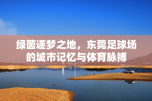 绿茵逐梦之地，东莞足球场的城市记忆与体育脉搏