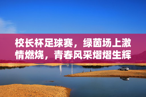 校长杯足球赛，绿茵场上激情燃烧，青春风采熠熠生辉——记校园足球盛宴的精彩回放，校长杯足球赛，绿茵场上激情燃烧，青春风采熠熠生辉
