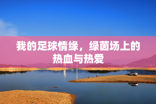 我的足球情缘，绿茵场上的热血与热爱