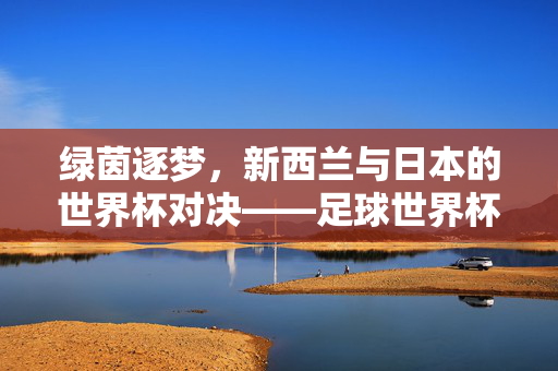 绿茵逐梦，新西兰与日本的世界杯对决——足球世界杯赛场上，激情与智慧的碰撞