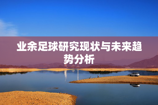 业余足球研究现状与未来趋势分析