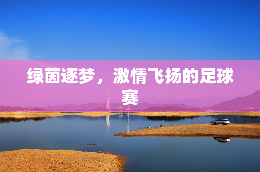 绿茵逐梦，激情飞扬的足球赛