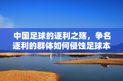 中国足球的逐利之殇，争名逐利的群体如何侵蚀足球本真