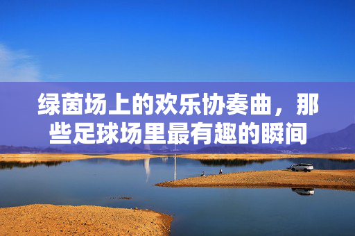 绿茵场上的欢乐协奏曲，那些足球场里最有趣的瞬间