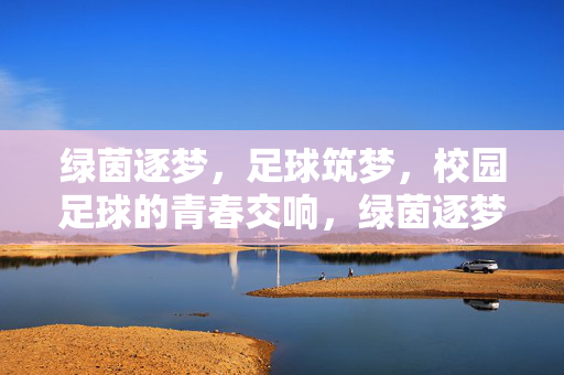 绿茵逐梦，足球筑梦，校园足球的青春交响，绿茵逐梦，足球筑梦，校园足球的青春交响