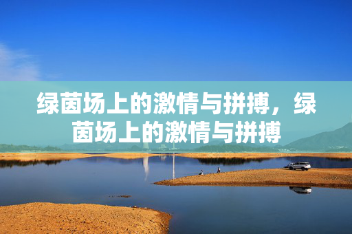绿茵场上的激情与拼搏，绿茵场上的激情与拼搏