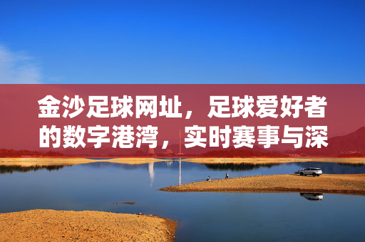 金沙足球网址,足球爱好者的数字港湾,实时赛事与深度分析的便捷入口,金沙足球网址,足球爱好者的数字港湾,实时赛事与深度分析的便捷入口