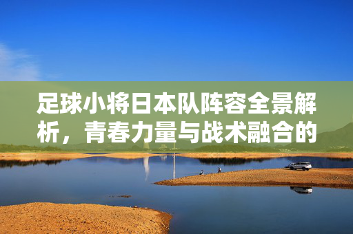 足球小将日本队阵容全景解析，青春力量与战术融合的典范
