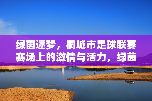 绿茵逐梦，桐城市足球联赛赛场上的激情与活力，绿茵逐梦，桐城市足球联赛赛场上的激情与活力