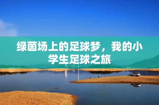 绿茵场上的足球梦，我的小学生足球之旅