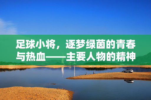 足球小将，逐梦绿茵的青春与热血——主要人物的精神内核与成长轨迹