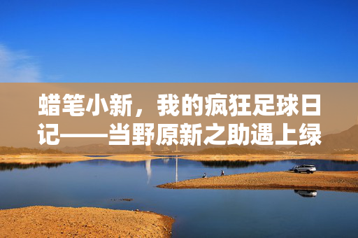 蜡笔小新，我的疯狂足球日记——当野原新之助遇上绿茵场的神级冒险