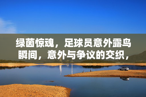 绿茵惊魂，足球员意外露鸟瞬间，意外与争议的交织，绿茵惊魂，足球员意外露鸟瞬间，意外与争议的交织
