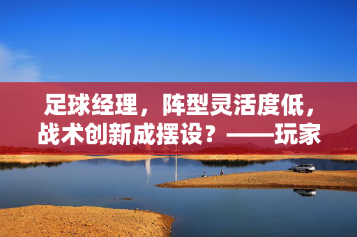 足球经理，阵型灵活度低，战术创新成摆设？——玩家对战术深度的不满之声，足球经理，阵型灵活度低，战术创新成摆设？——玩家对战术深度的不满之声