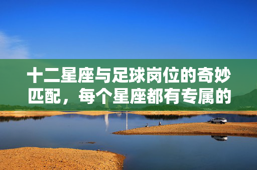 十二星座与足球岗位的奇妙匹配，每个星座都有专属的绿茵角色