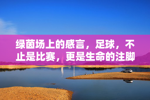 绿茵场上的感言，足球，不止是比赛，更是生命的注脚