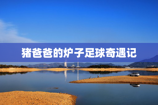 猪爸爸的炉子足球奇遇记