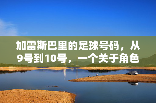 加雷斯巴里的足球号码，从9号到10号，一个关于角色与传承的更迭故事