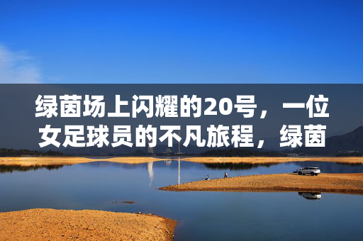 绿茵场上闪耀的20号，一位女足球员的不凡旅程，绿茵场上闪耀的20号，一位女足球员的不凡旅程