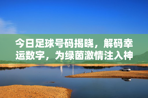 今日足球号码揭晓,解码幸运数字,为绿茵激情注入神秘力量