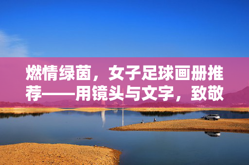 燃情绿茵，女子足球画册推荐——用镜头与文字，致敬巾帼足星的逐梦之路，燃情绿茵，女子足球画册推荐——用镜头与文字，致敬巾帼足星的逐梦之路