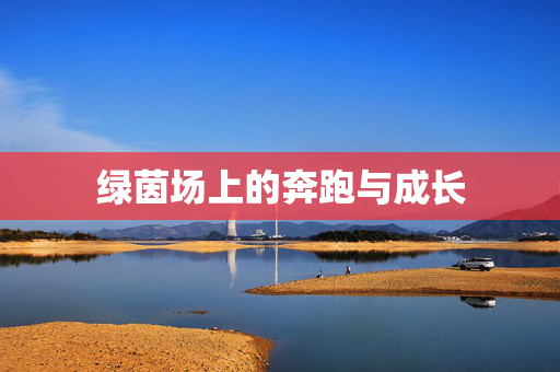 绿茵场上的奔跑与成长
