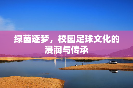 绿茵逐梦，校园足球文化的浸润与传承
