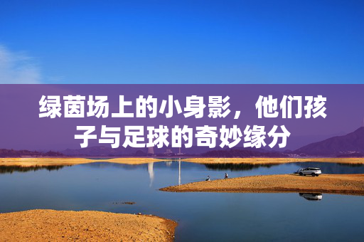 绿茵场上的小身影，他们孩子与足球的奇妙缘分