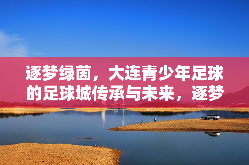 逐梦绿茵，大连青少年足球的足球城传承与未来，逐梦绿茵，大连青少年足球的足球城传承与未来