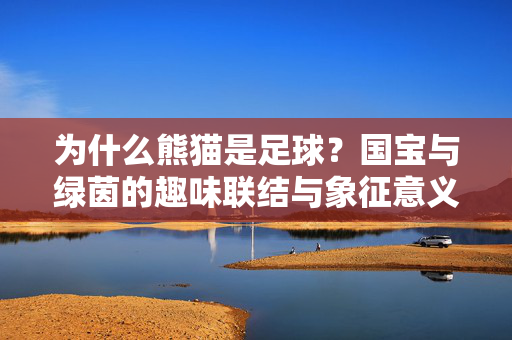 为什么熊猫是足球？国宝与绿茵的趣味联结与象征意义
