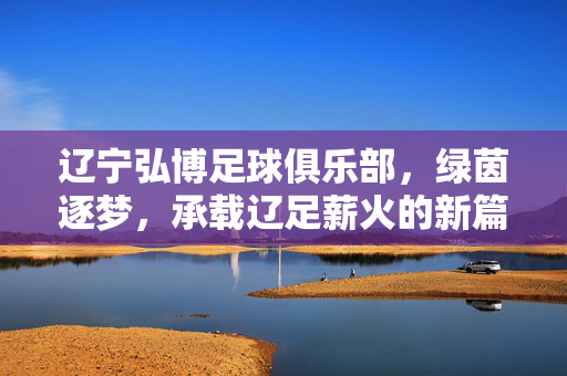 辽宁弘博足球俱乐部，绿茵逐梦，承载辽足薪火的新篇章，辽宁弘博足球俱乐部，绿茵逐梦，承载辽足薪火的新篇章