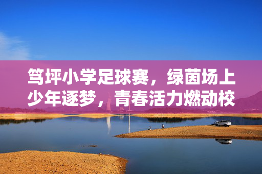 笃坪小学足球赛，绿茵场上少年逐梦，青春活力燃动校园，笃坪小学足球赛，绿茵场上少年逐梦，青春活力燃动校园