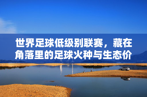 世界足球低级别联赛，藏在角落里的足球火种与生态价值，世界足球低级别联赛，角落里的足球火种与生态价值