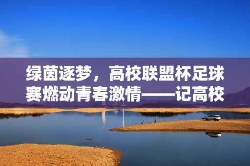 绿茵逐梦,高校联盟杯足球赛燃动青春激情——记高校联盟杯足球赛精彩纷呈的赛场瞬间,绿茵逐梦,高校联盟杯足球赛燃动青春激情——记高校联盟杯足球赛精彩纷呈的赛场瞬间