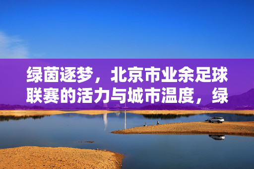 绿茵逐梦，北京市业余足球联赛的活力与城市温度，绿茵逐梦，北京市业余足球联赛的活力与城市温度