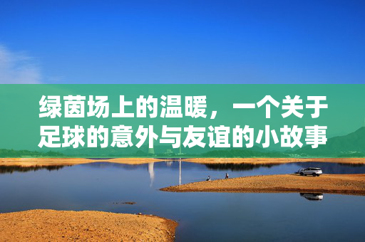 绿茵场上的温暖，一个关于足球的意外与友谊的小故事，绿茵场上的温暖，一个关于足球意外与友谊的小故事