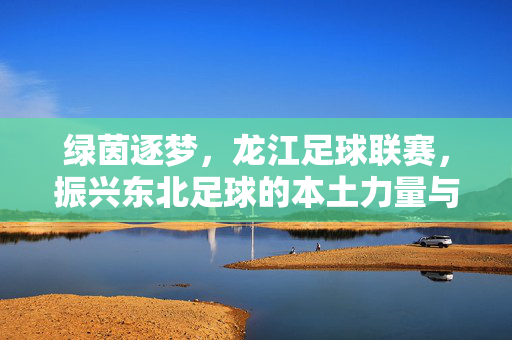 绿茵逐梦，龙江足球联赛，振兴东北足球的本土力量与未来图景，绿茵逐梦，龙江足球联赛，振兴东北足球的本土力量与未来图景