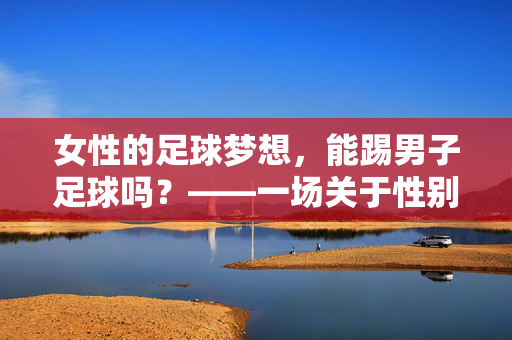 女性的足球梦想，能踢男子足球吗？——一场关于性别、实力与挑战的探讨，女性的足球梦想，能踢男子足球吗？——一场关于性别、实力与挑战的探讨