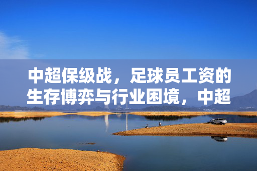中超保级战，足球员工资的生存博弈与行业困境，中超保级战，足球员工资的生存博弈与行业困境