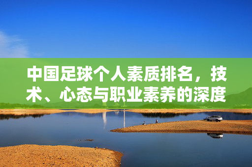 中国足球个人素质排名，技术、心态与职业素养的深度剖析与展望