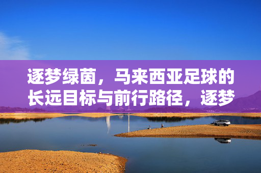 逐梦绿茵，马来西亚足球的长远目标与前行路径，逐梦绿茵，马来西亚足球的长远目标与前行路径