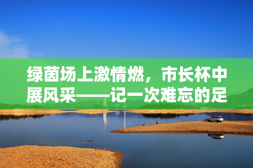 绿茵场上激情燃，市长杯中展风采——记一次难忘的足球市长杯比赛，绿茵场上激情燃，市长杯中展风采——记一次难忘的足球市长杯比赛