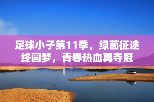 足球小子第11季，绿茵征途终圆梦，青春热血再夺冠