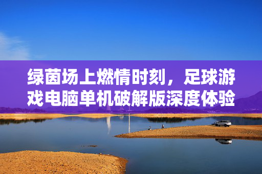 绿茵场上燃情时刻，足球游戏电脑单机破解版深度体验，绿茵场上燃情时刻，足球游戏电脑单机破解版深度体验