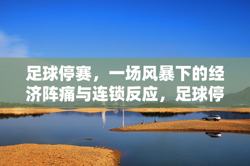 足球停赛，一场风暴下的经济阵痛与连锁反应，足球停赛，一场风暴下的经济阵痛与连锁反应