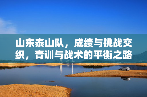 山东泰山队,成绩与挑战交织,青训与战术的平衡之路——当前球队现状剖析,山东泰山队,成绩与挑战交织,青训与战术的平衡之路——当前球队现状剖析